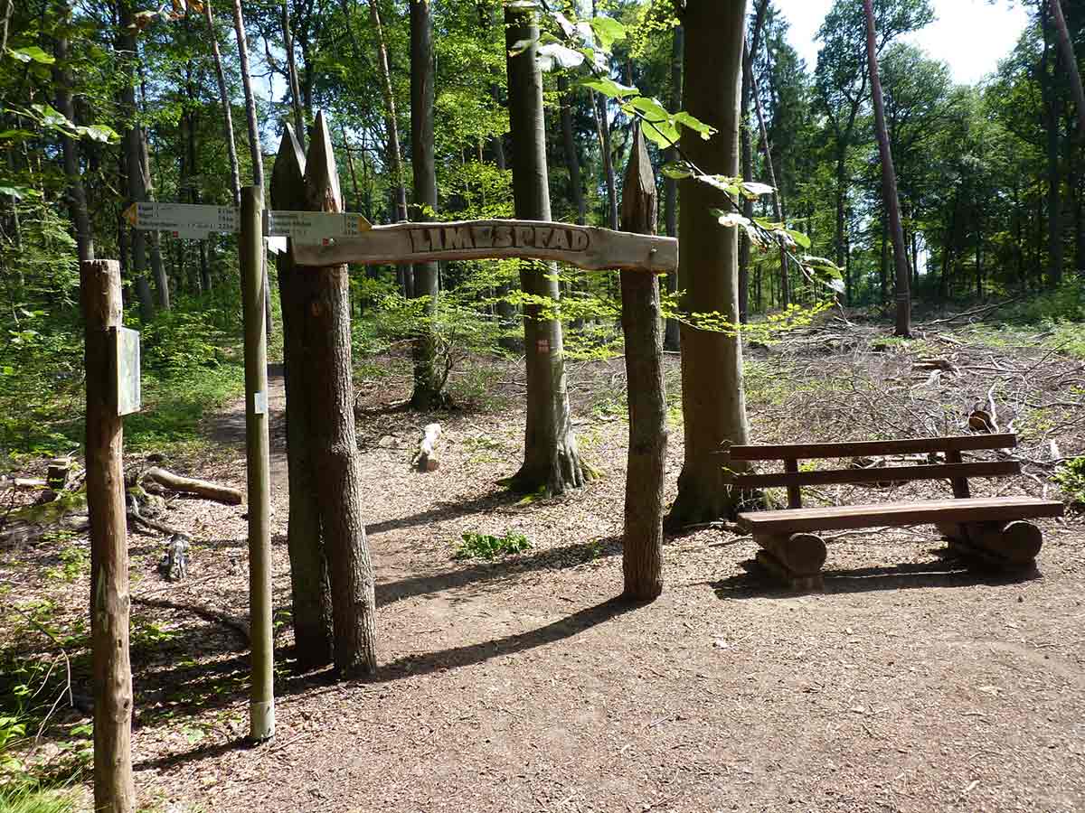 Geschichte und Natur sind auf dem Limespfad in Hillscheid perfekt vereint. Foto: Frderkreis Limes