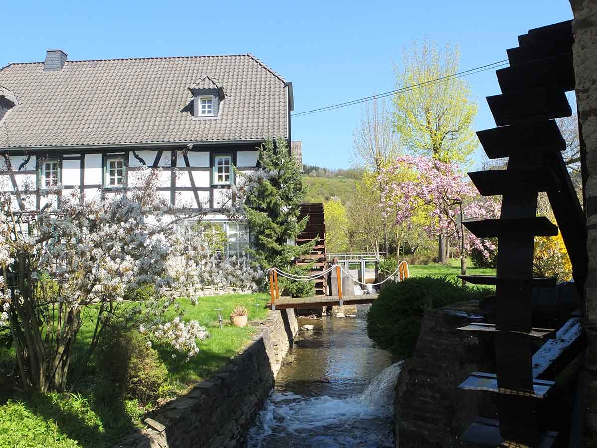 Kleiner Wller Wied-Runde: Spaziergang durch Waldbreitbach