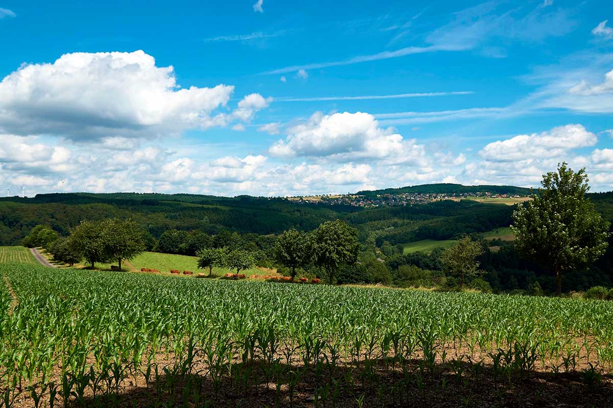 Bei solchen Ausblicken macht der Panoramaweg seinem Namen alle Ehre. (Foto: Martin Schler)