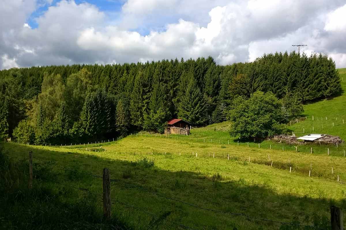 Fantastische Natur und tolle Landschaften auf der Limbacher Runde 22 Romantisches Lauterbachtal. (Foto: Martin Schler)