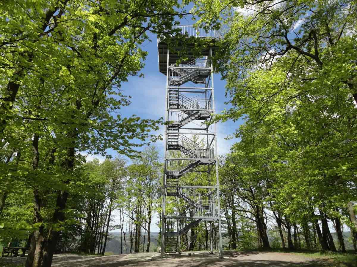 Seit ber zehn Jahren ragt der neue Ottoturm bereits aus dem Wald empor. Foto: Sven Wolff