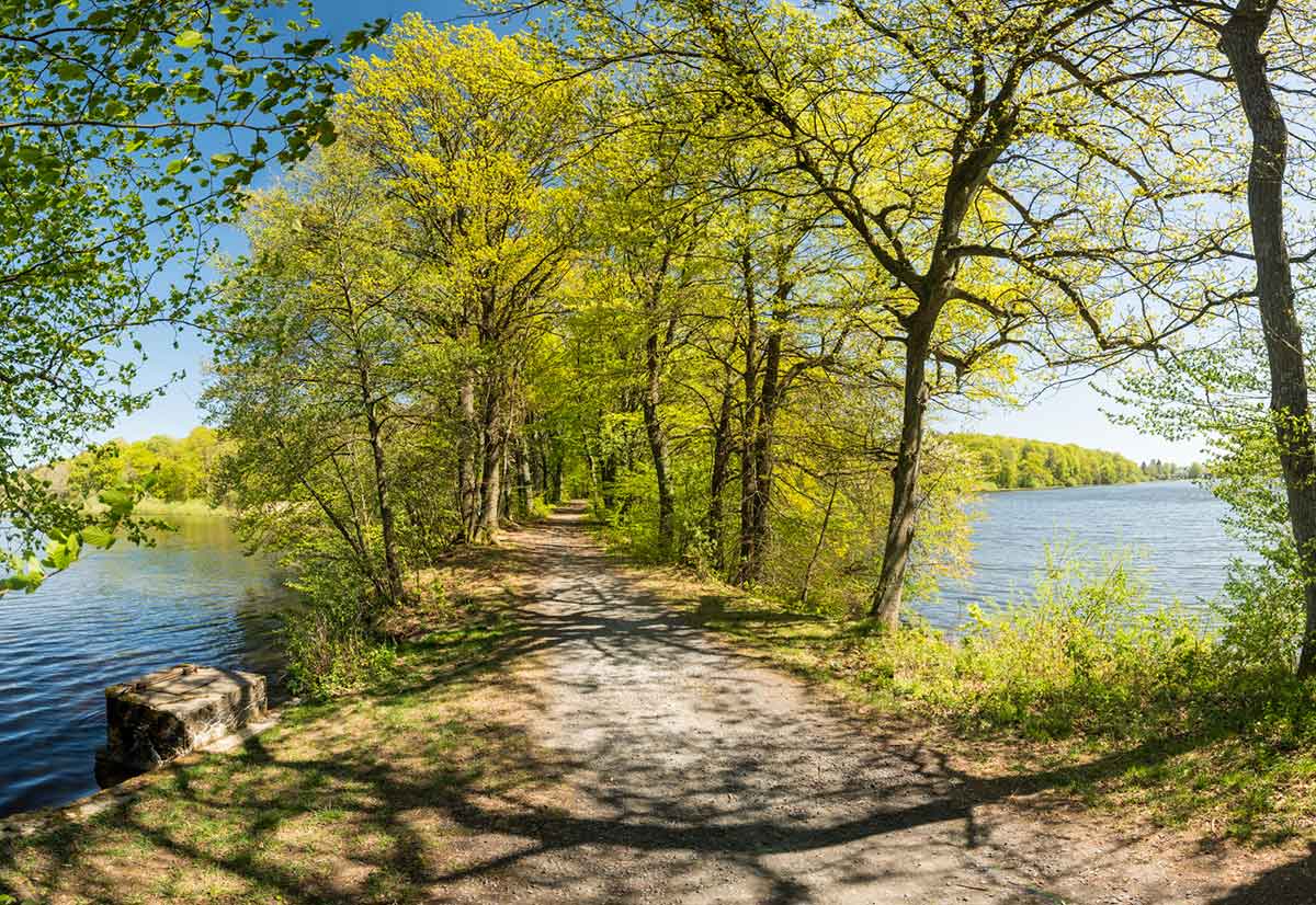 Westerwaldsteig Erlebnisschleife: Rundtour Romantische Seenplatte in Dreifelden