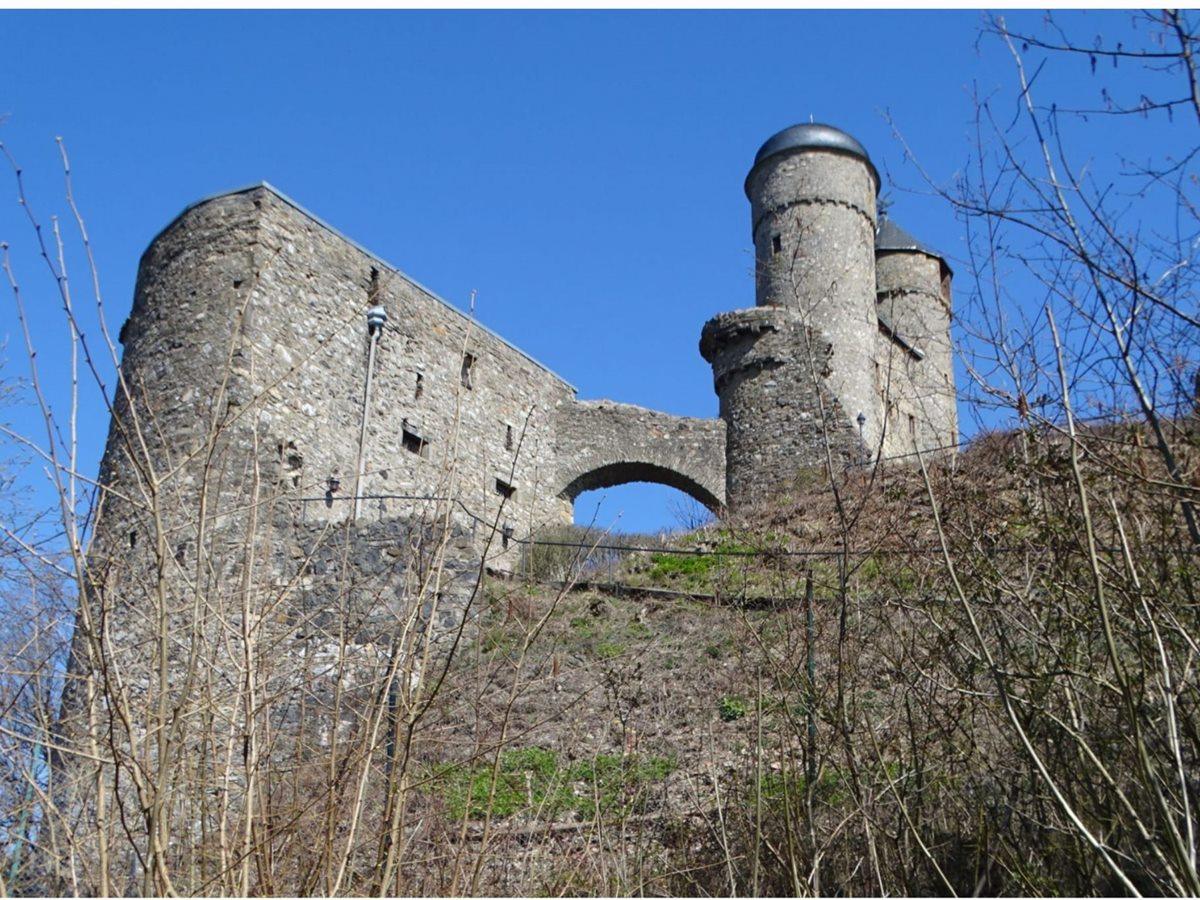 Die Kr�uterwanderung findet rund um Burg Greifenstein statt. (Foto: Frank Ebendorff)