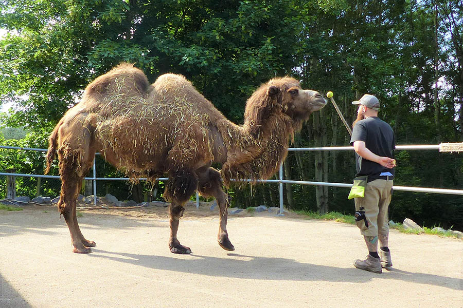 Tierische Wunschliste des Zoo Neuwied