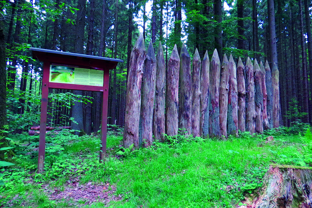 Der obergermanisch-rtische Limes, der sich ber mehr als 500 Kilometer durch halb Deutschland zog, war zu einem groen Teil mit Holzpalisaden befestigt. Foto: Carolin Faller