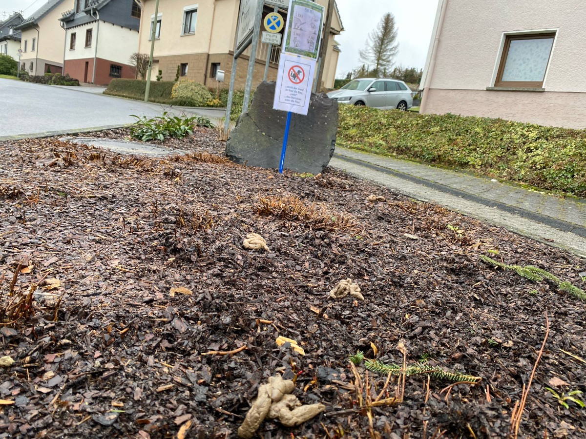 Das winterliche Blumenbeet an der Zufahrt zur Glck-Auf-Strae in Katzwinkel strotzt aktuell nur so vor Hundekot. Hinweisschilder sollen mahnen und zeigen, wie es besser gehen kann. (Foto: KathaBe)