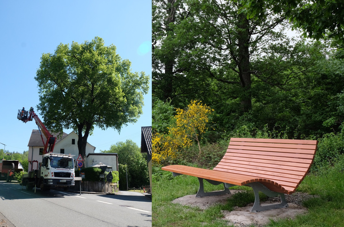 Pflege fr Denkmal-Linde, weiterer Blhstreifen und Erholung in Katzwinkel 