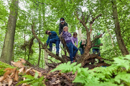 Spielplatz Wald: Kinder knnen die Natur entdecken