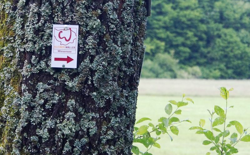 Mit den Kleinen Wllern in die Natur