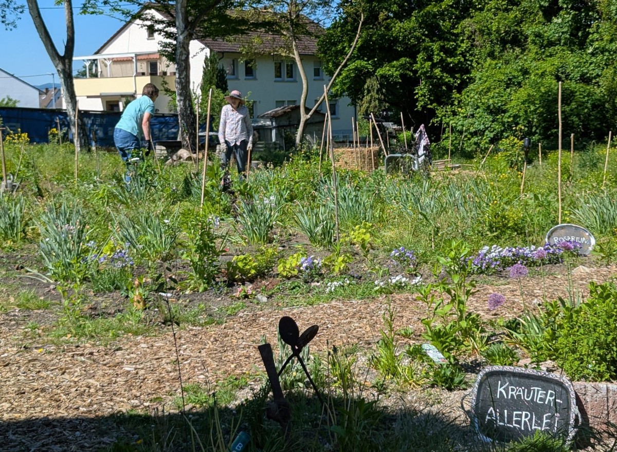 Klimagarten. Foto: Ulrike Neuser