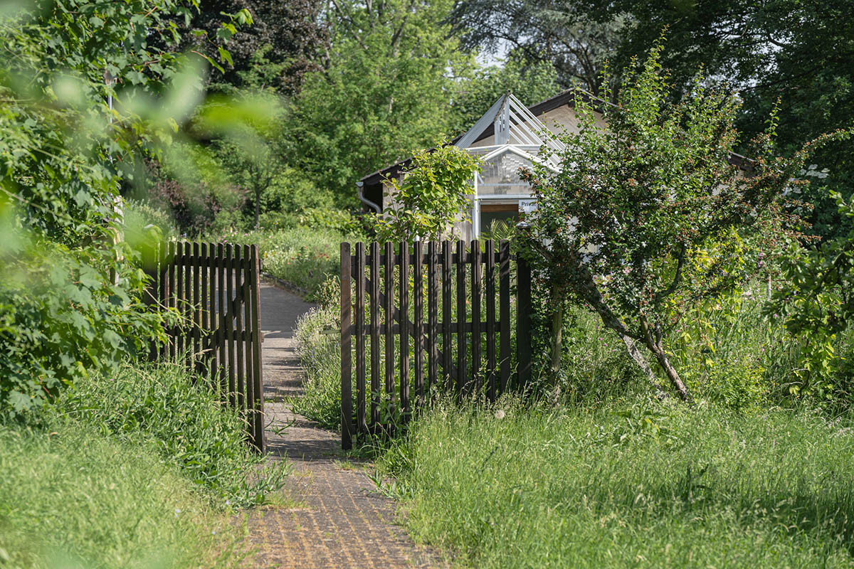 Entdecke die Welt der Kruter auf dem Klosterberg Waldbreitbach