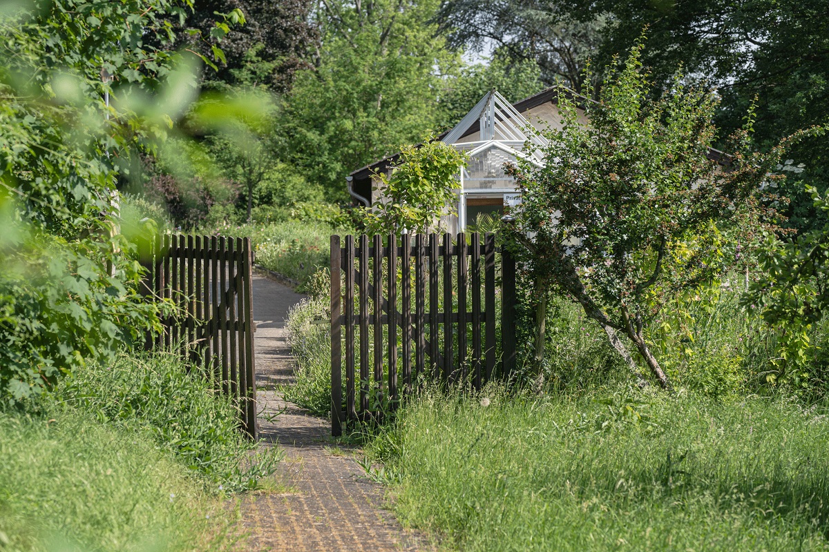 Zahlreiche neue Kruterfhrungen auf dem Waldbreitbacher Klosterberg