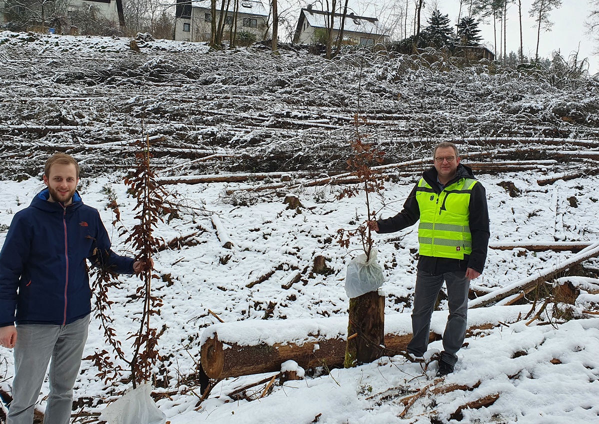 Zwei grere Flchen mchte der Brgermeister auf Vorschlag des Forstamtes in der Kttingsbach aufforsten lassen. Berno Neuhoff sucht dazu Paten, die fr  Stadtwald-Gutscheine von beispielsweise 10, 100 und 1000 Euro spenden, um den Eigenanteil der Stadt Wissen zu finanzieren. (Foto: Verwaltung)