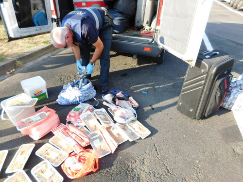 Rund 100 Kilogramm ungekhltes und penetrant riechendes Fleisch fanden sich in den kontrollierten Kleinbussen an der A 3. (Foto: Verkehrsdirektion Koblenz) 