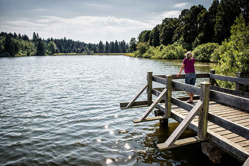 Yoga & Qi Gong Reise  Entspannung und Naturerlebnis im Harz