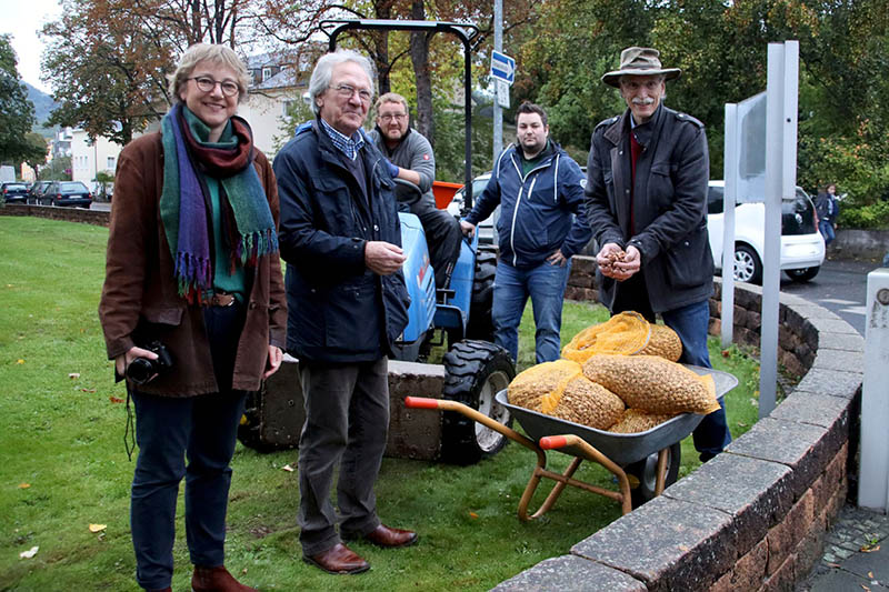 Auf der Grnflche vor der evangelischen Kirche in der Luisenstrae wurden Krokusse eingepflanzt. Von links: Pfarrerin Britta Beuscher, Initiator Diether Habicht-Benthin (Initiative Wirtschaft fr Bad Honnef), Dirk Hrsch, Sascha Tapken und Pfarrer Uwe Lttgen-Tangermann. Foto: Stadt Bad Honnef
