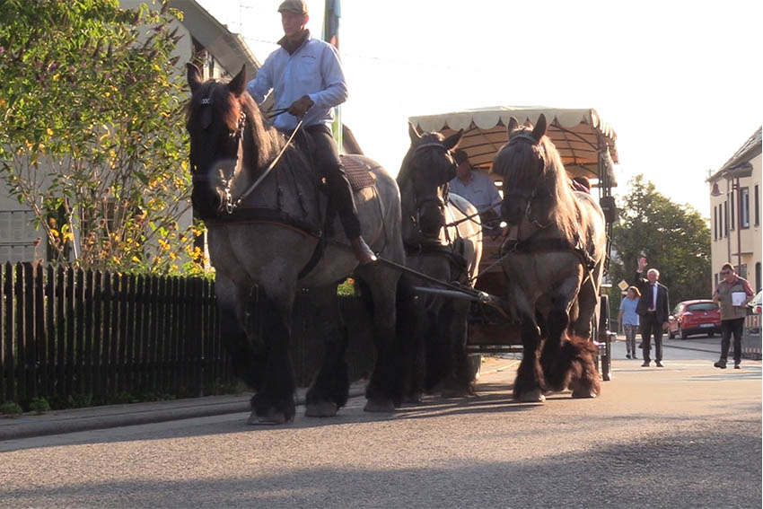 Historische Kutschfahrt von Flammersfeld nach Neuwied