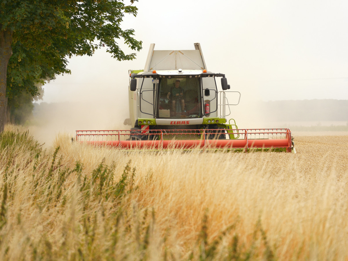 Rheinland-Pfalz: Bauern- und Winzerverband pocht auf weniger B�rokratie und klare Agrarziele