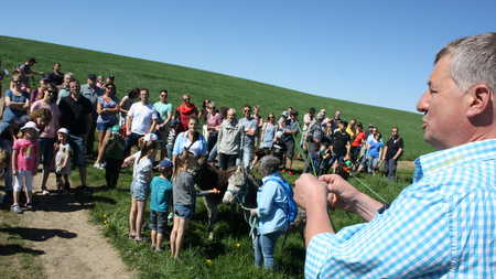 Mehr als 80 Teilnehmer waren bei der landwirtschaftskundlichen Wanderung mit dem Landwirt Axel Scheffen aus Hattert dabei. (Foto: Veranstalter)