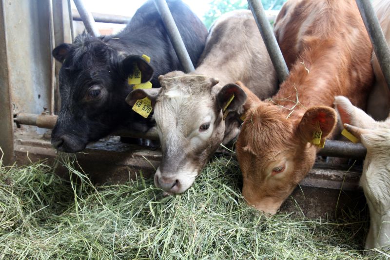 Heimische Landwirtschaft strken