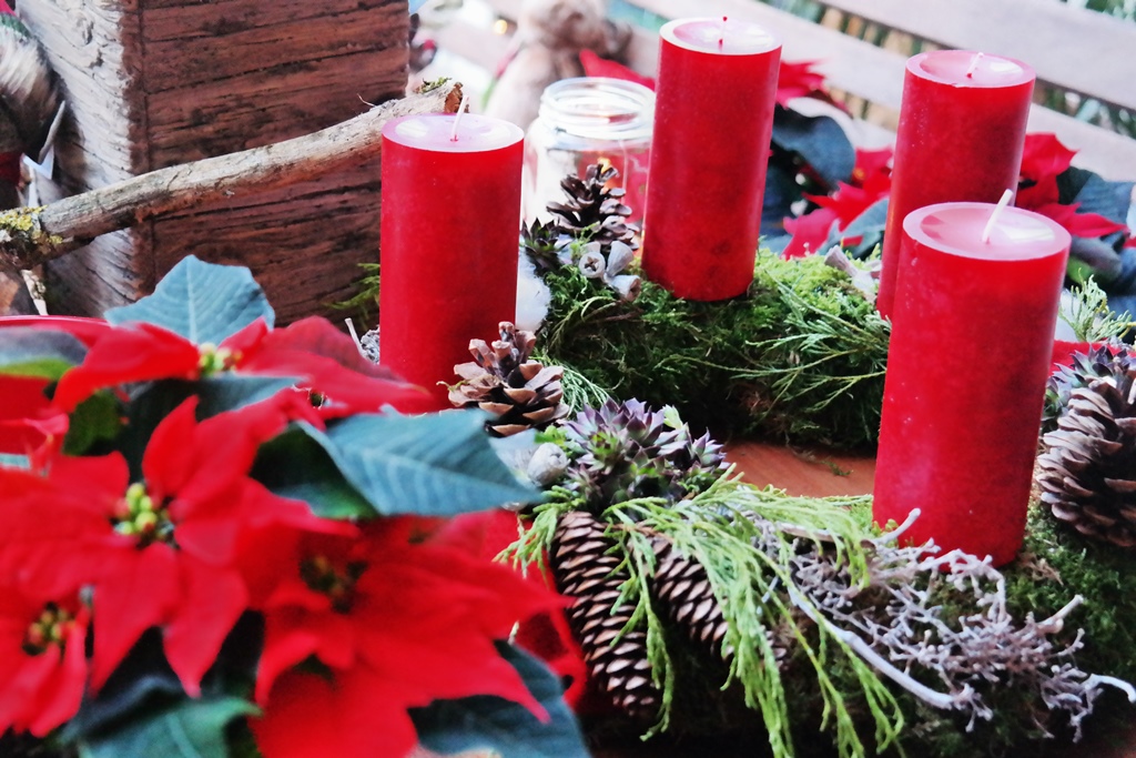 Rote Kerzen und Weihnachtssterne kommen nie aus der Mode. Traditionelle und moderne Gestecke gibt es bei Blumen Leonards. (Fotos: rst) 