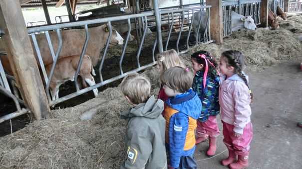 Begegnung mit kleinen und groen Tieren. Fotos: privat