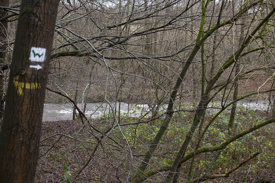 Wegemarkierung an den Limbacher Runden. Fotos: Helmi Tischler-Venter