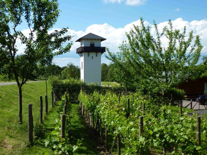 Limesturm mit Garten. Foto: Frderverein Limesturm Hillscheid