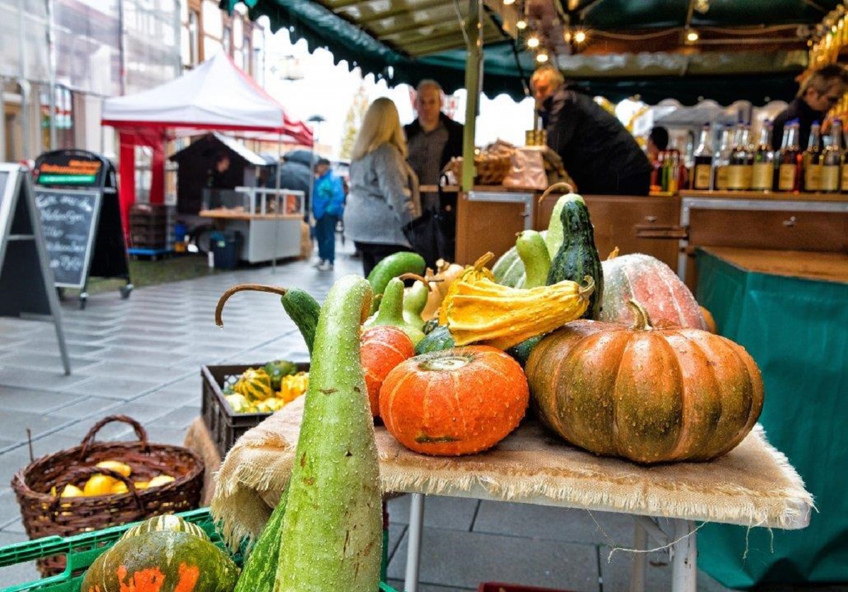 Lwenfest in Hachenburg: Am 15. und 16. Oktober in den Herbst starten