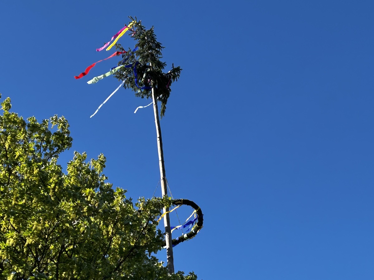 Der Rotter Maibaum 2026 (Foto: Monika Dasbach)