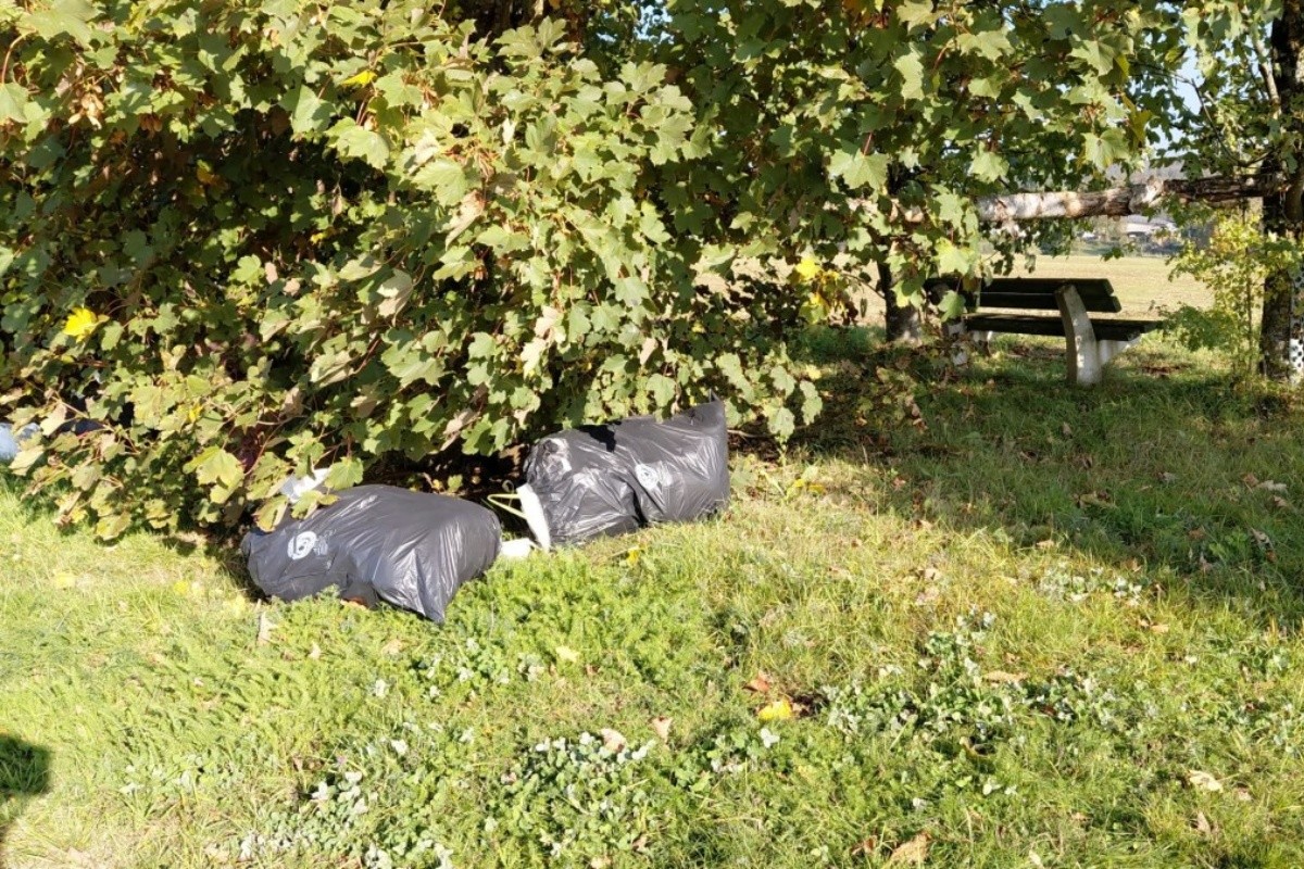 Illegal entsorgte Tapetenreste (Foto: Philipp Alberts/Verbandsgemeindeverwaltung Altenkirchen-Flammersfeld)