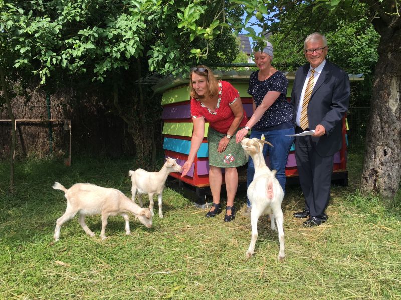 Kein Zickenalarm, sondern drei tierisch nette Gste