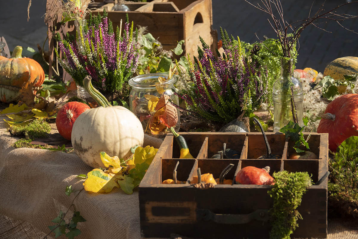 Herbstlicher Bauern- und Gourmetmarkt lockt viele Besucher nach Neuwied