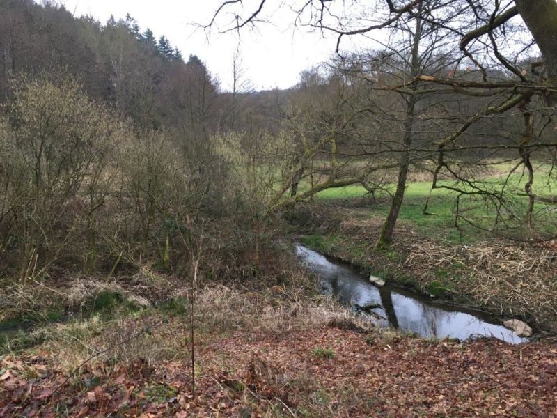 In welchem Zustand sich der Masselbach befindet, wurde jetzt bei einer Gewsserschau berprft. Foto: Ing. Bro GBI