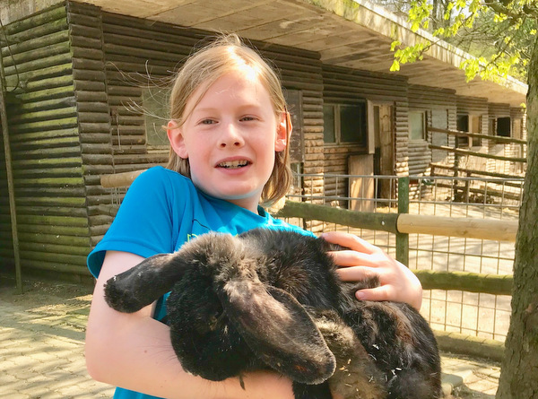 Ob  Mathi Jung hier einen Osterhasen auf dem Arm hlt, ist nicht bekannt. Auf jeden Fall handelt es sich um ein Meiner Widderkaninchen. (Foto: Tierpark Niederfischbach)