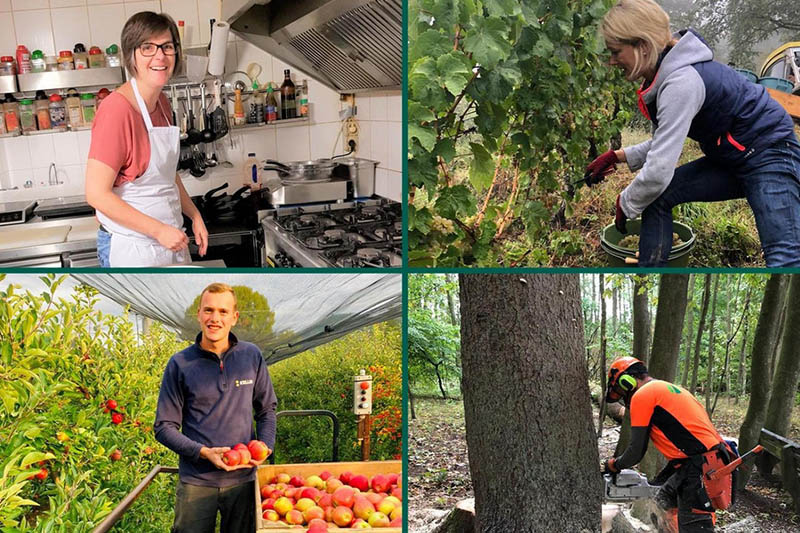 Foto der vier Besten. Katharine Mohr oben rechts. Foto: Landwirtschaftskammer