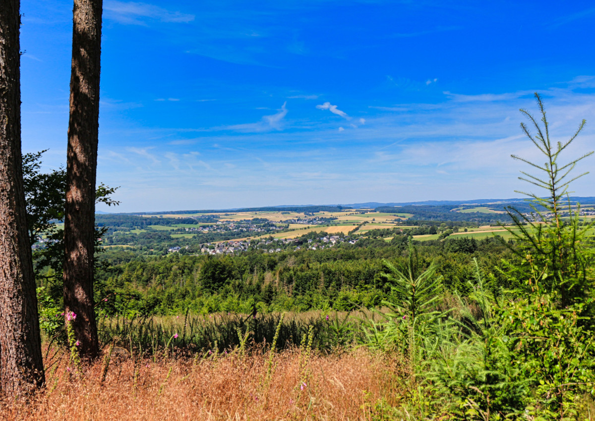 Westerwald hautnah: Panoramawanderung im Naturschutzgebiet Oberes Wiedtal