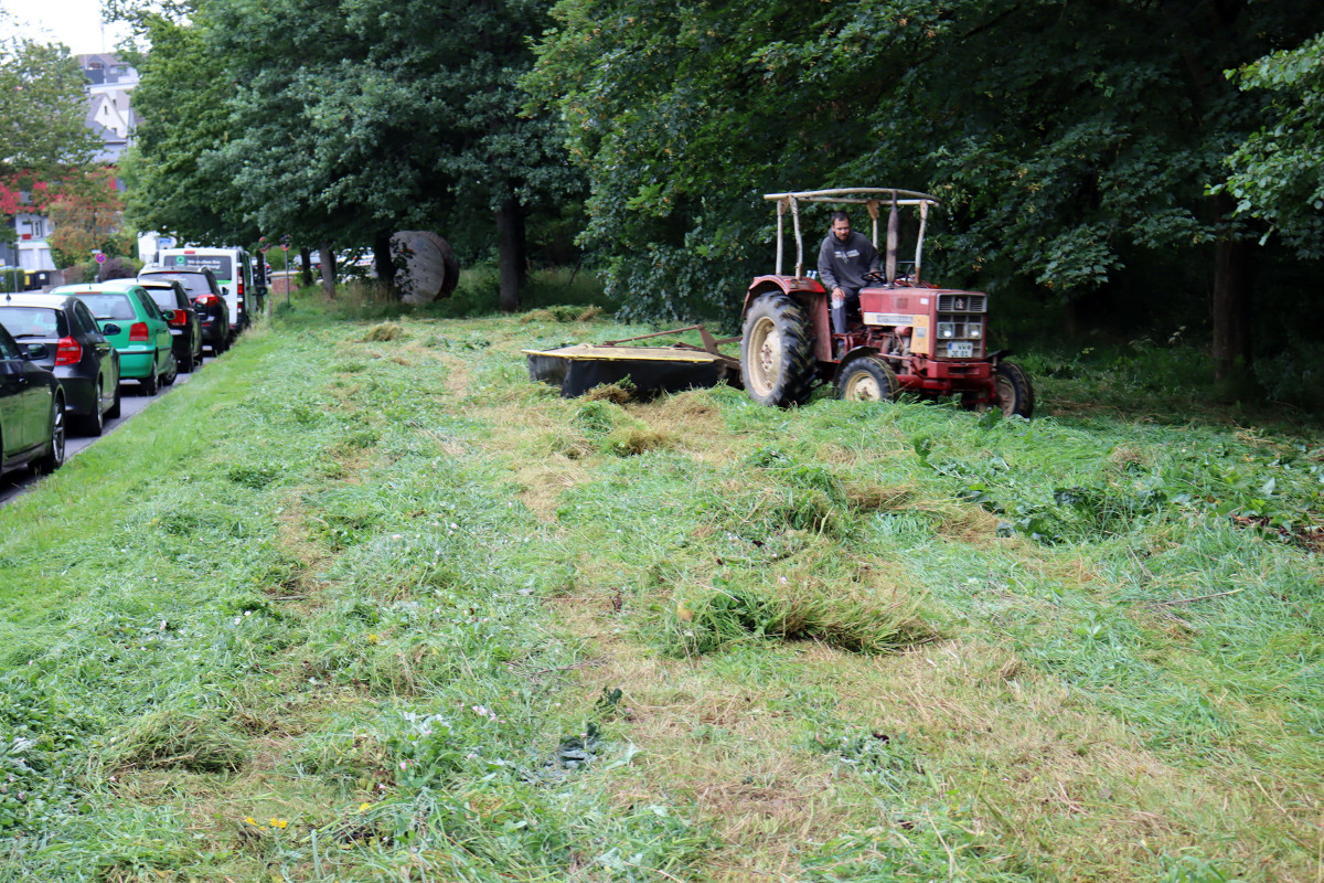 Landwirt Jesco Engel war diese Woche mit seinem Traktor erstmals im Einsatz, um die Wiese entlang der Montabaurer Frschpfortstrae zu mhen. (Foto: VG Montabaur)