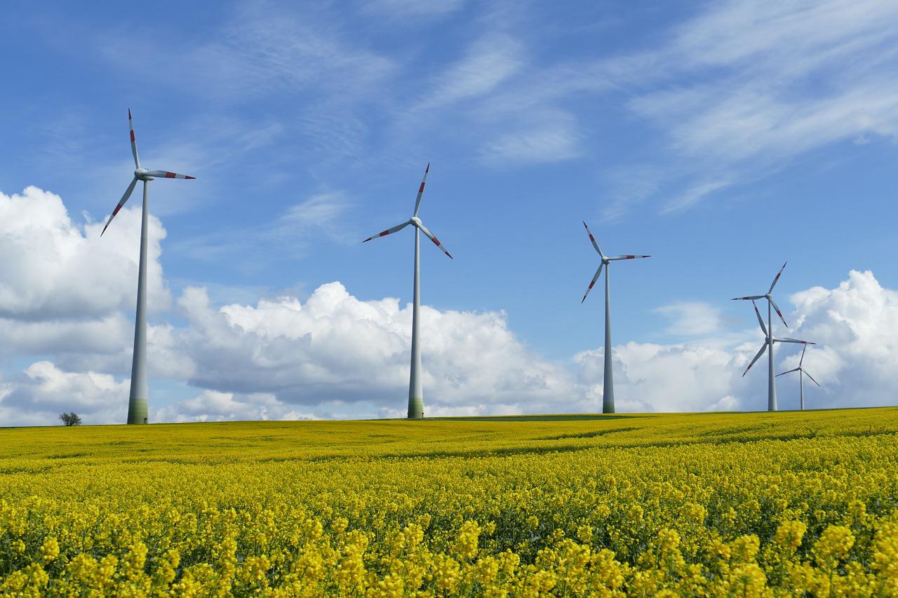 Windkraft auf der Montabaurer Hhe: BUND Westerwald hlt Untersuchung fr sinnvoll