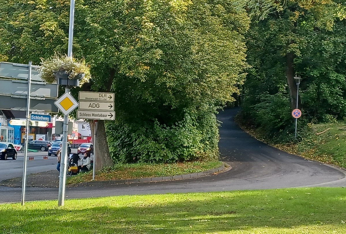 Vom 6. bis zum 8. Oktober wird der Schlossweg in Montabaur gesperrt, weil auf dem Schlossberg Baumpflegearbeiten durchgeführt werden. (Foto: Stadt Montabaur)