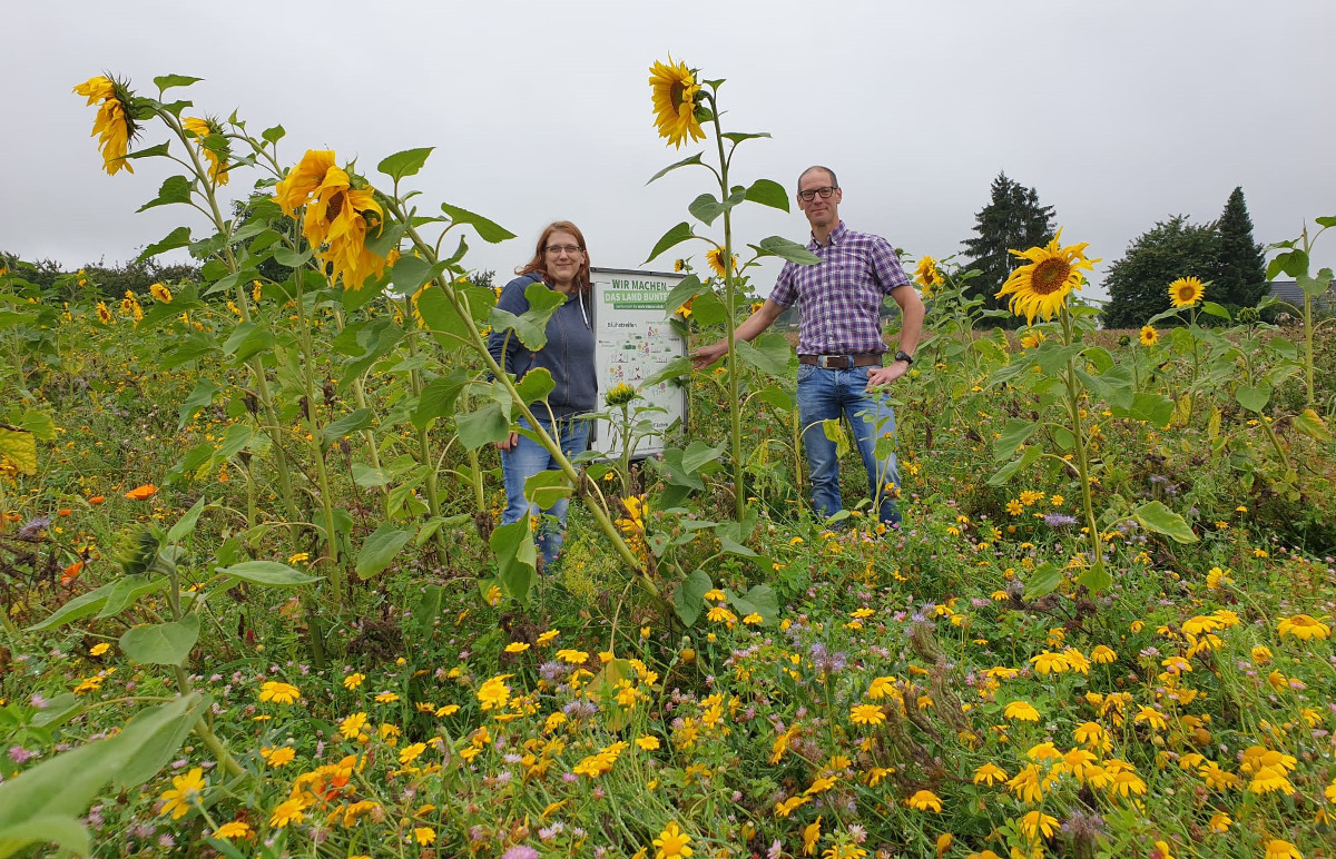 Blhstreifen sorgen fr Biodiversitt und Freude