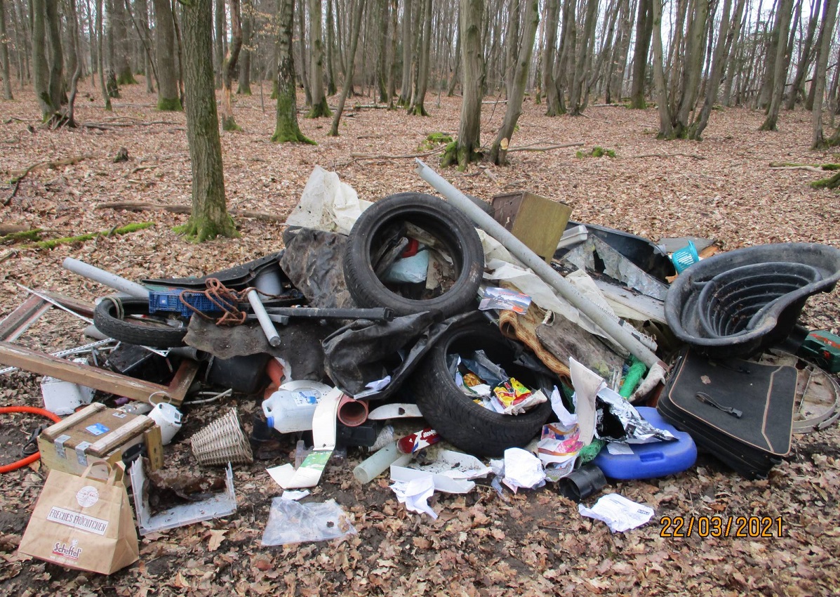 Illegale Entsorgung: Ein Haufen Mll liegt im Wald