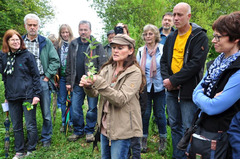 Unterwegs mit der Kruter-Hexe: Delikatessen am Wegesrand