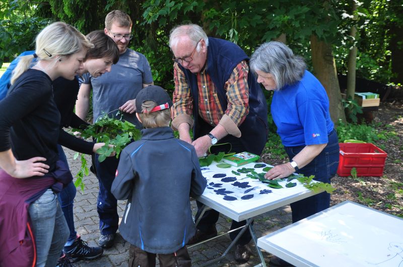 Pflanzenkunde. Foto: Peter Fasel