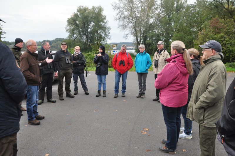 Beobachter des herbstlichen Vogelzugs am Wiesensee. Fotos: Peter Fasel