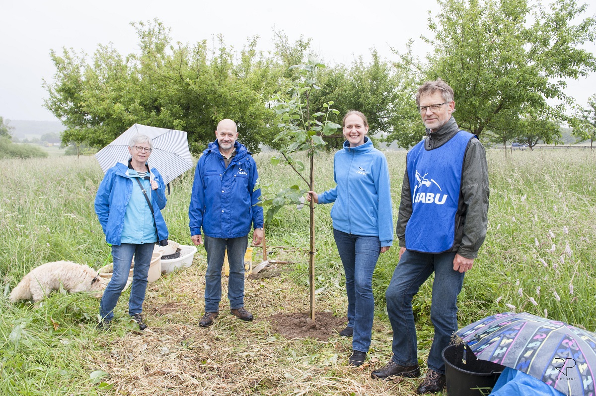 NABU-Landesvorsitzende Cosima Lindemann (2. v. r.) mit dem frisch gepflanzten Jubilumsapfelbaum beim NABU Rennerod. (Foto: Rainer Perlik)