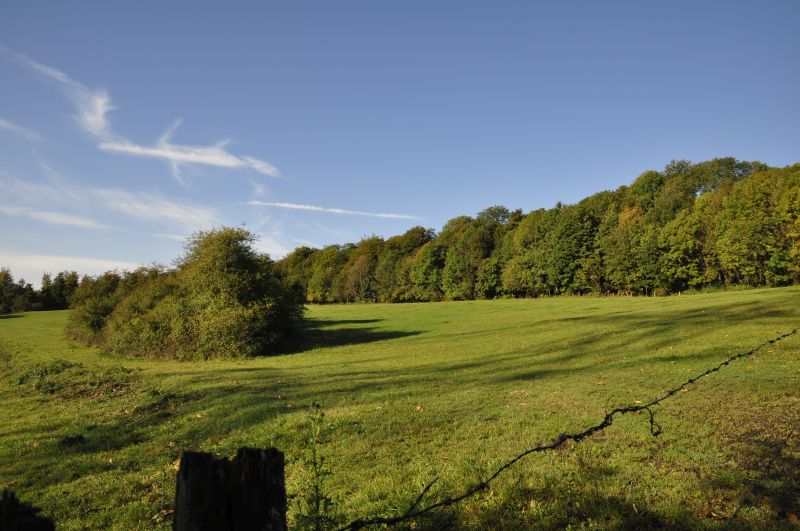 Diese gewachsene Kulturlandschaft wrde durch die Umgehungsstrae zerstrt. Foto: Naturschutzinitiative e.V. (NI)