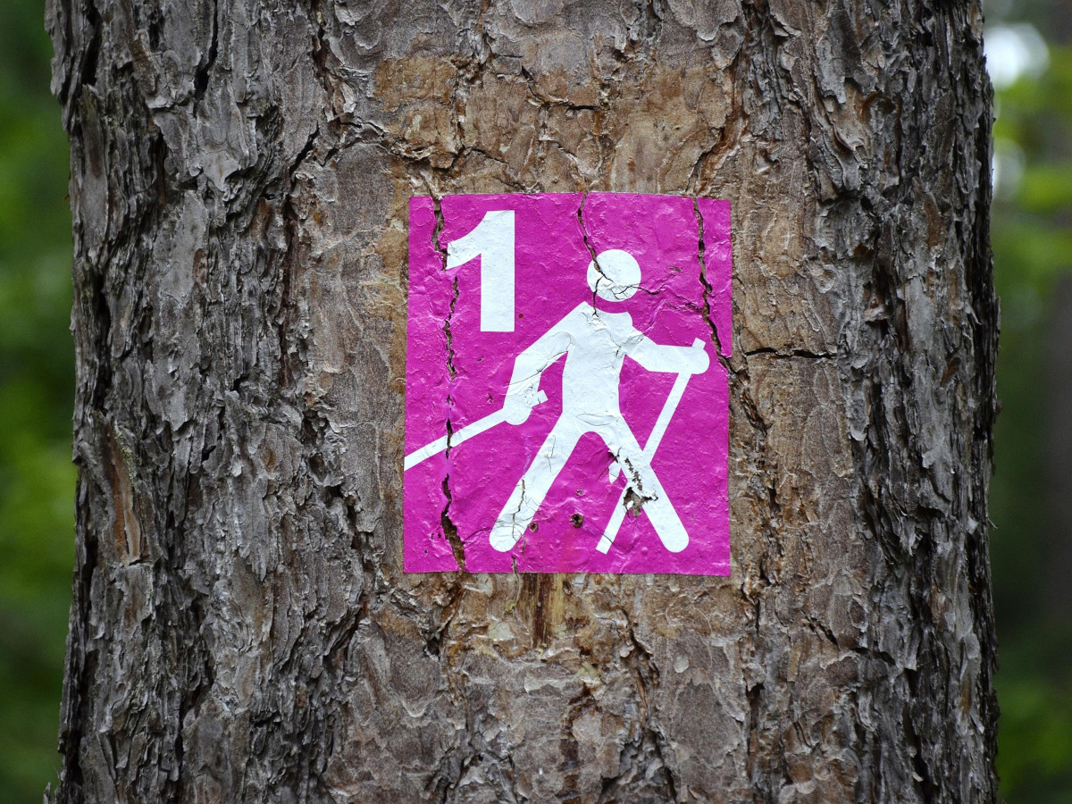 Nordic Walking fr die Gesundheit: Neue Kurse starten in Neuwied