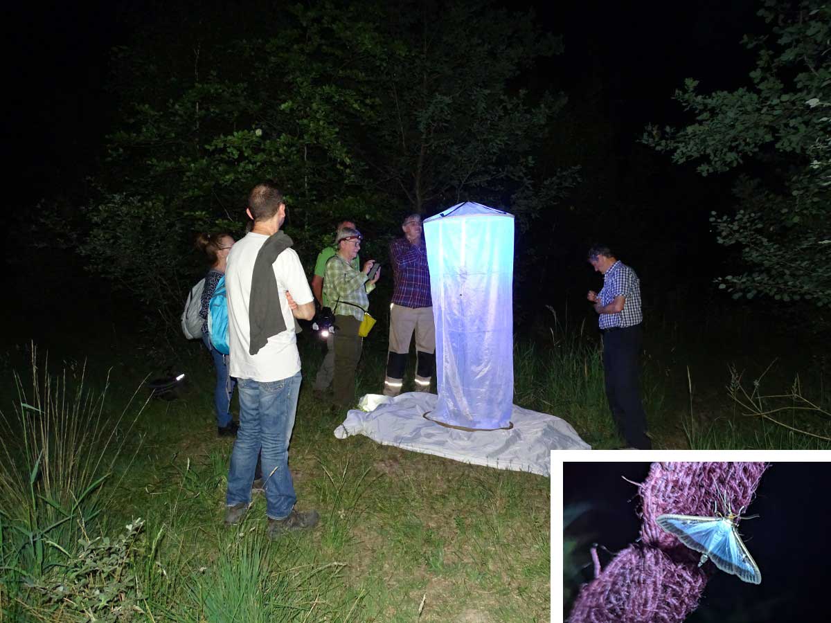 ANUAL Lichts�ule und Nachtfalterleuchten (Fotos: Robert Klein und Petra Paffrath)