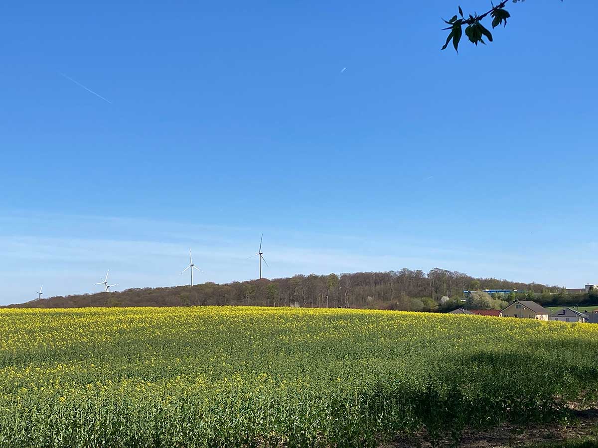CDU-Ortsverband Maischeid lädt zur Windparkbesichtigung ein